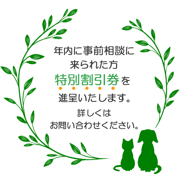 ǯ��˻������̤����줿�������̳�����ۤ���褤�����ޤ����ܤ����Ϥ��䤤��碌����������